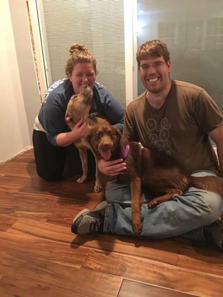 Pareja adopta perros Pareja adopta perros