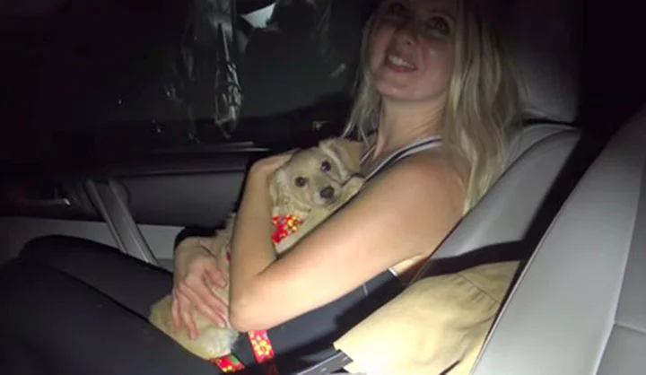 Perro rescatado Perro rescatado