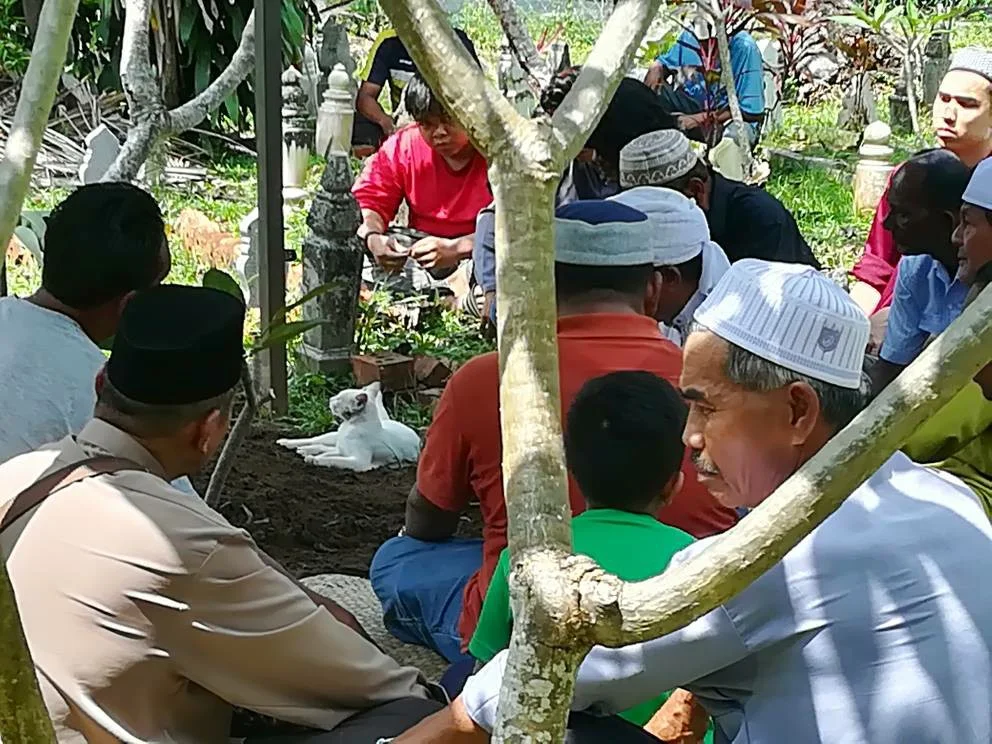 Gato blanco no se mueve de la tumba