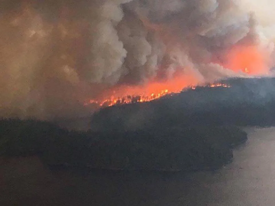 La gente está arriesgando sus vidas para alimentar a los animales varados por incendios forestales en Canadá 1 Incendios forestales