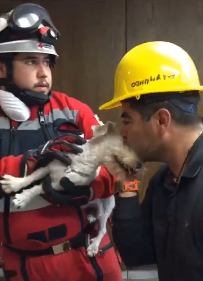 Junior y su padre humano