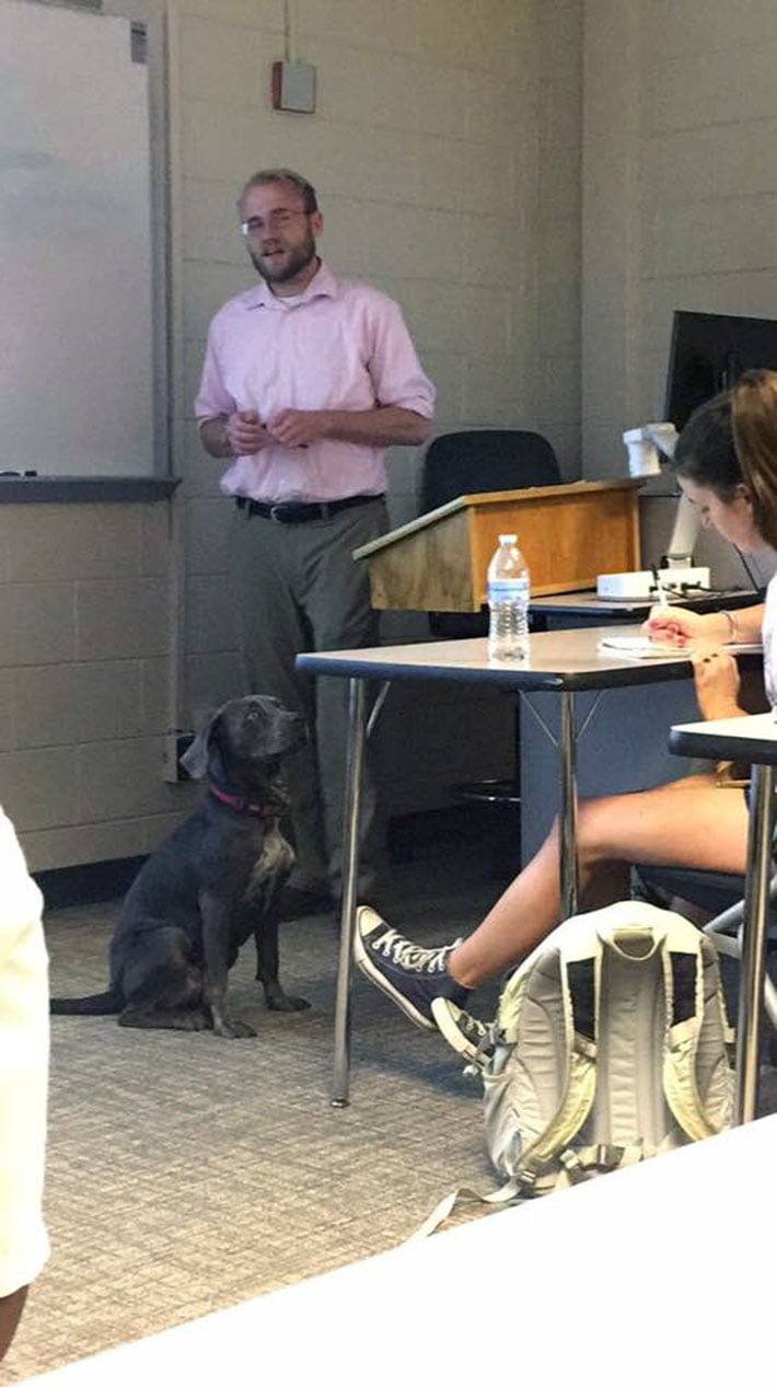 Luna en clases Luna en clases