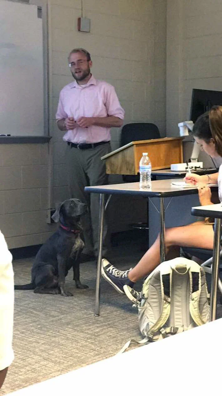 Luna en clases Luna en clases