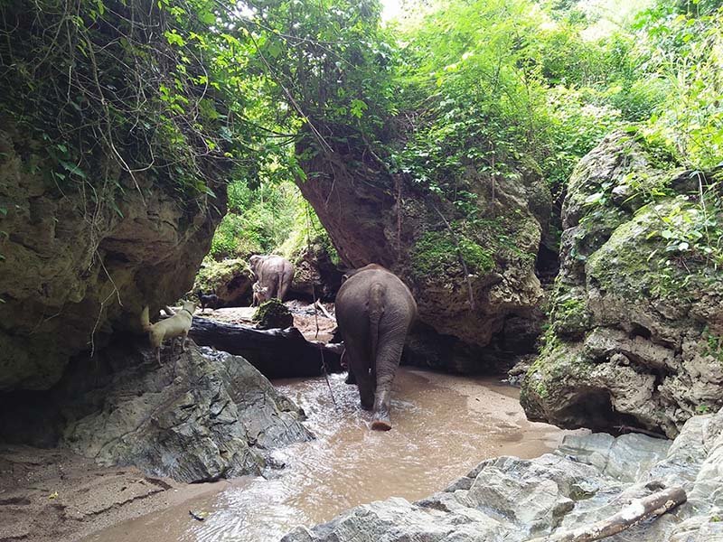 Mae Mor paseando