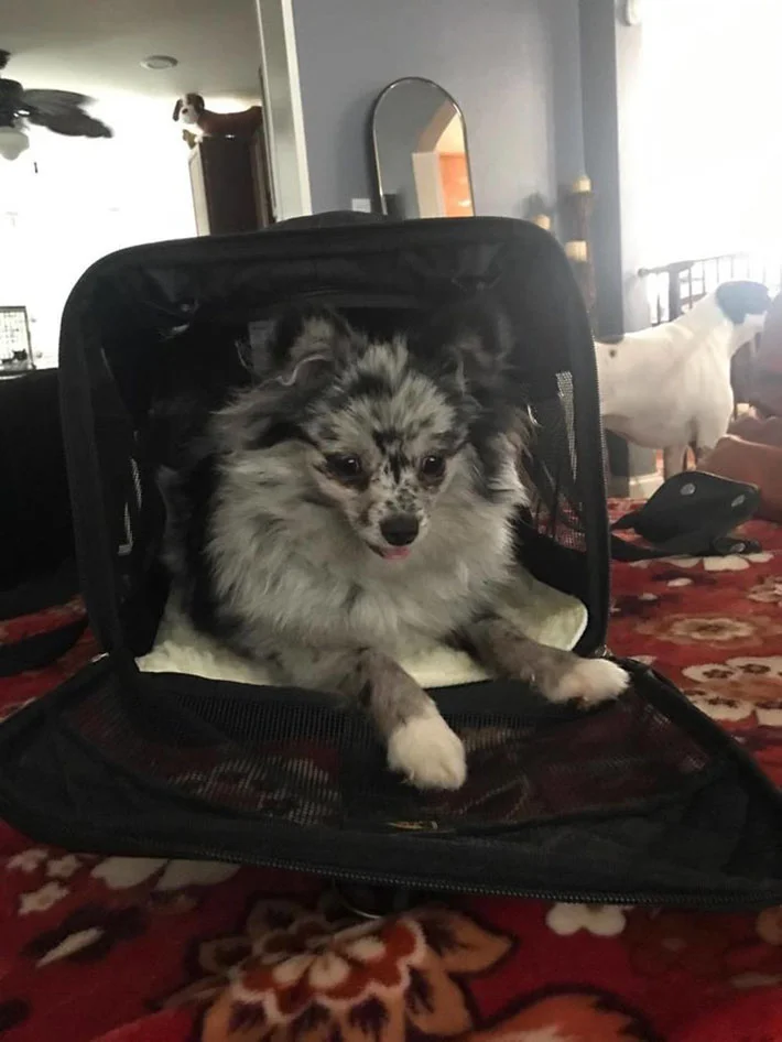 Mientras pasa la tormenta