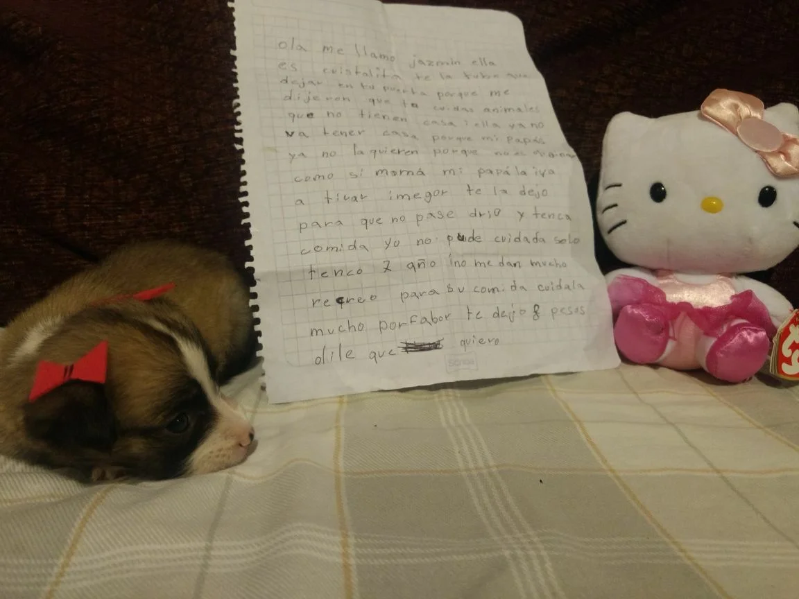Niña abandona perrita junto a una carta