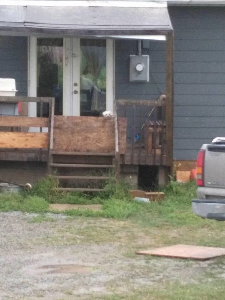 La gente está arriesgando sus vidas para alimentar a los animales varados por incendios forestales en Canadá 6 Perro varado en incendio forestal