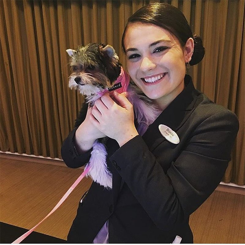 Hotel permitió a más de 900 perros y sus familias refugiarse del huracán Irma en Orlando 10 Personal de hotel con perrito