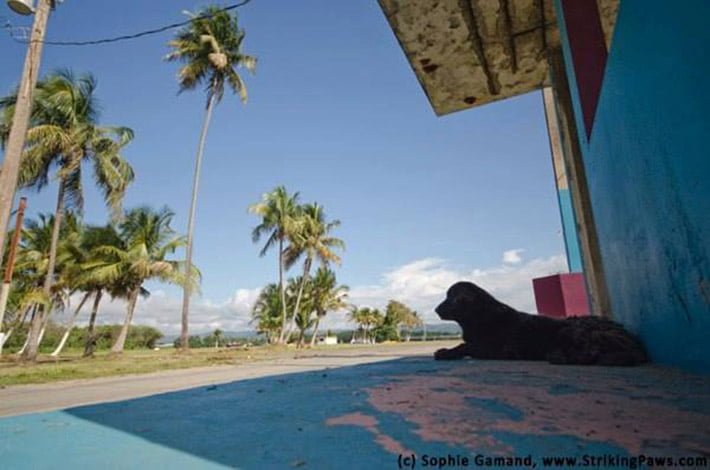 Playa del perro muerto Playa del perro muerto
