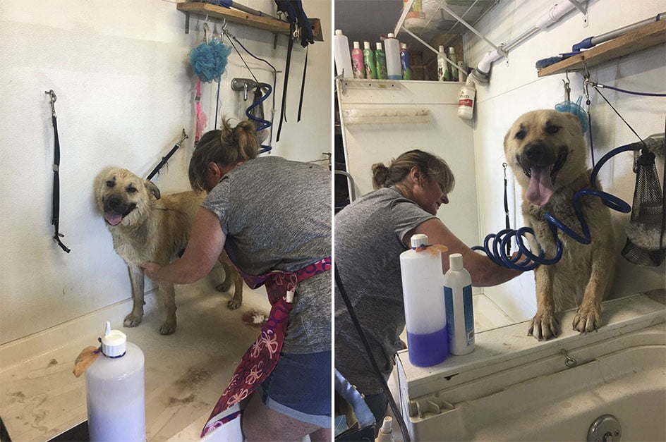 Primer baño de Peanut