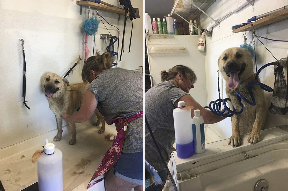 Primer baño de Peanut
