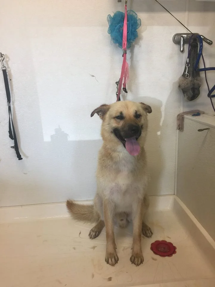 Primer baño