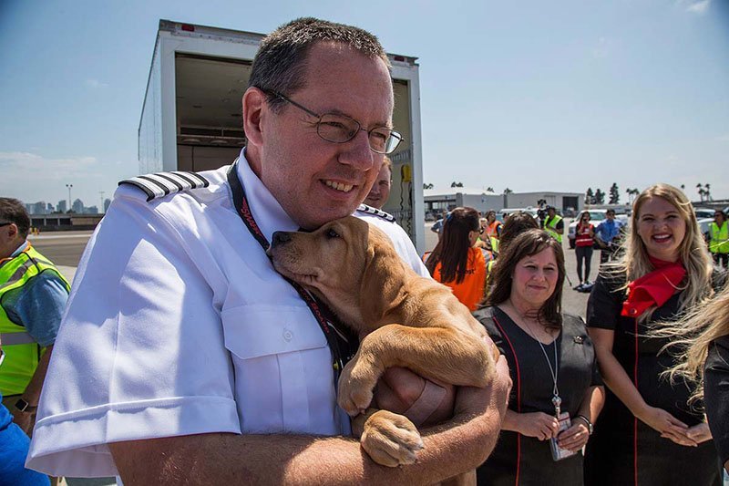 Vuelan con cabina llena de perros y gatos rescatados Vuelan con cabina llena de perros y gatos rescatados