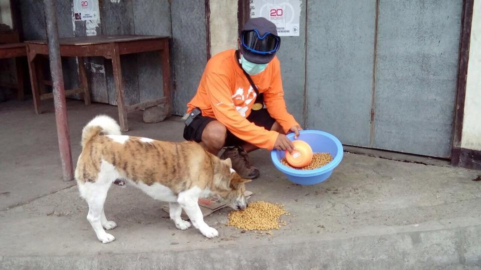 Alimentando perro Alimentando perro