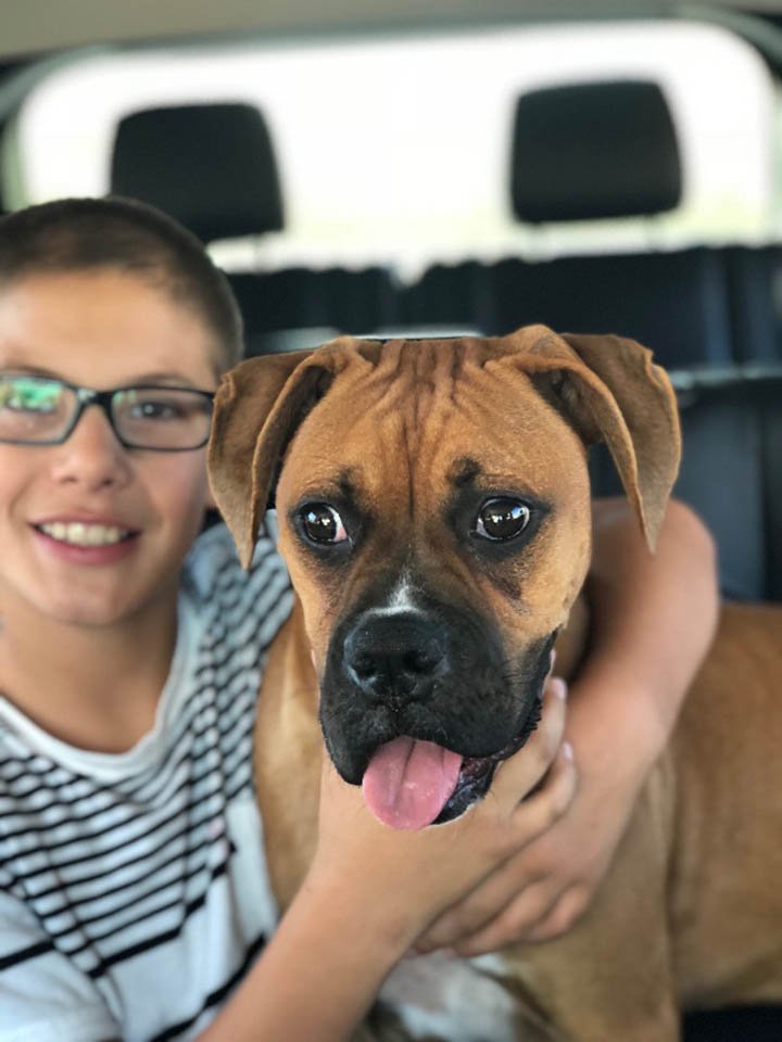Cole y Nala
