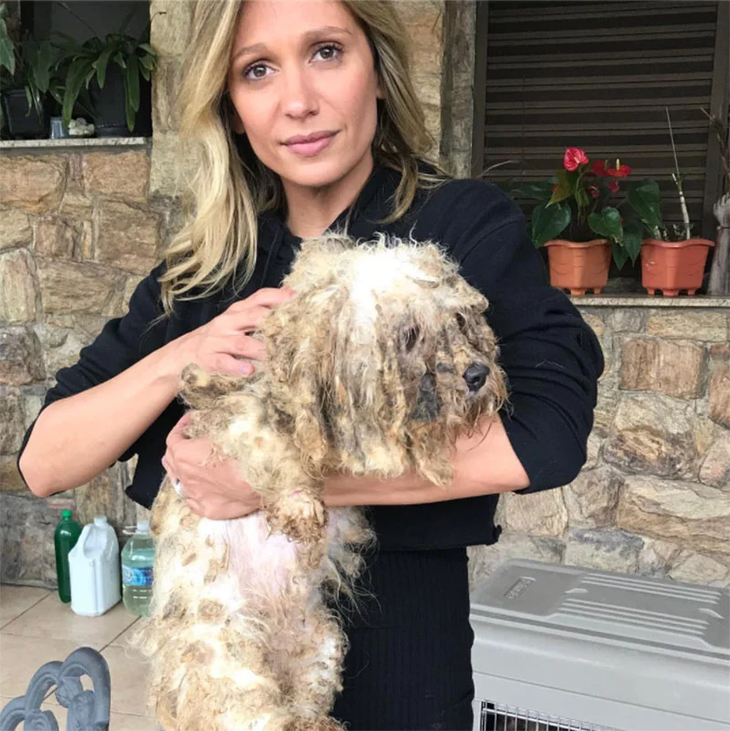 Luisa y un perrito Luisa y un perrito