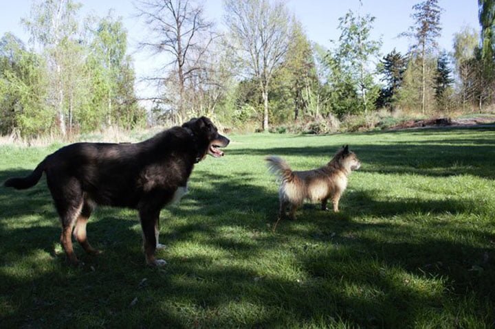 Maddy y Louie