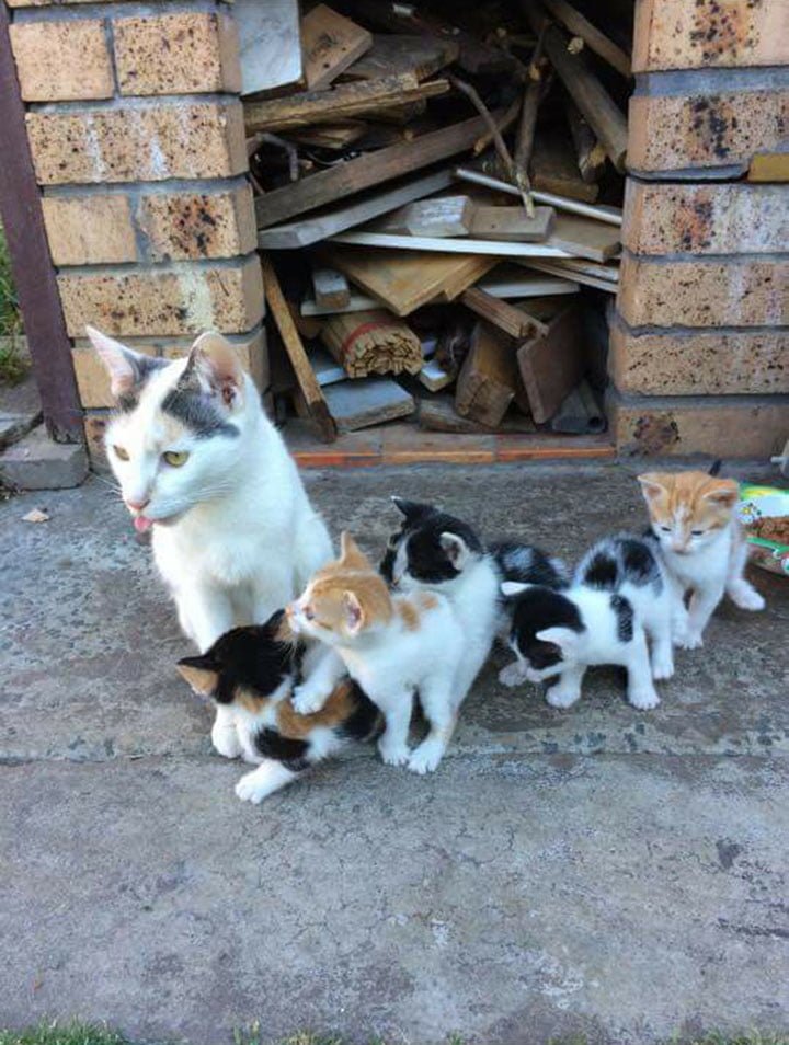 Madre mantiene vivos a sus bebés Madre mantiene vivos a sus bebés