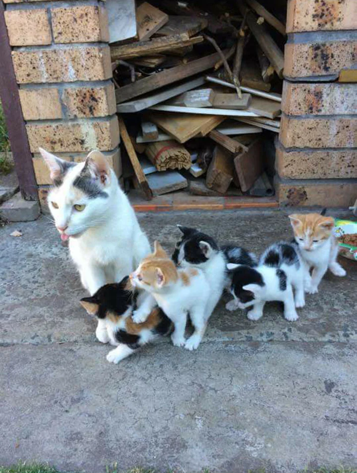 Madre mantiene vivos a sus bebés