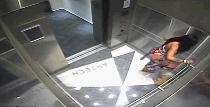 Mujer patea a un perro Mujer patea a un perro