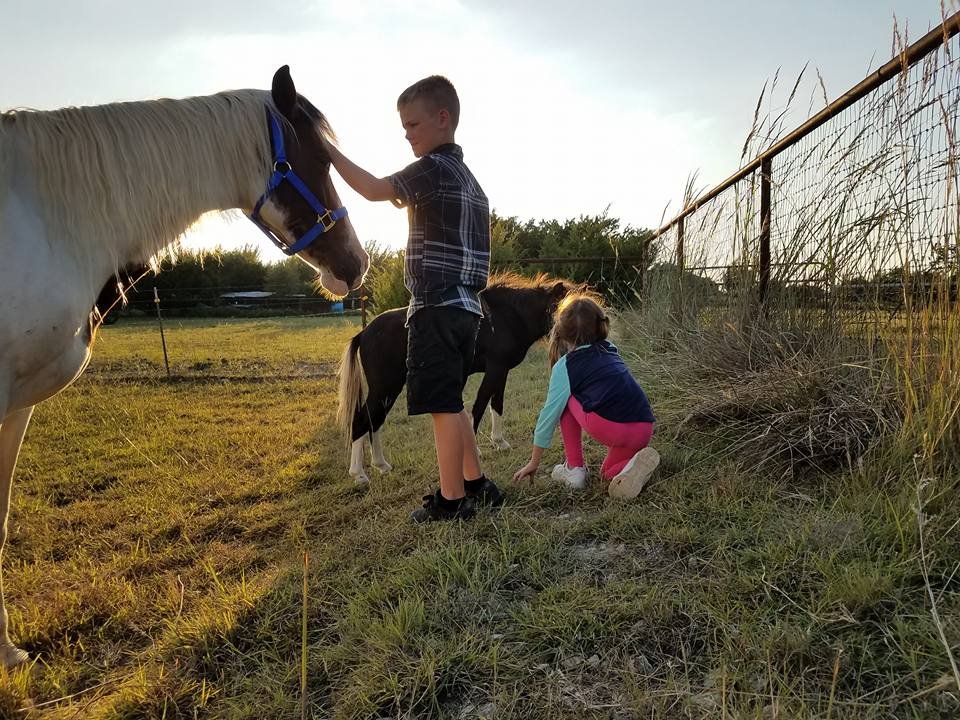 Niños y caballo