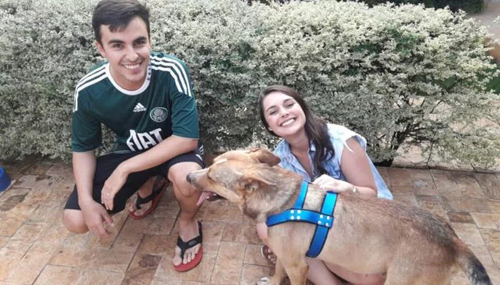Perro adoptado Perro adoptado