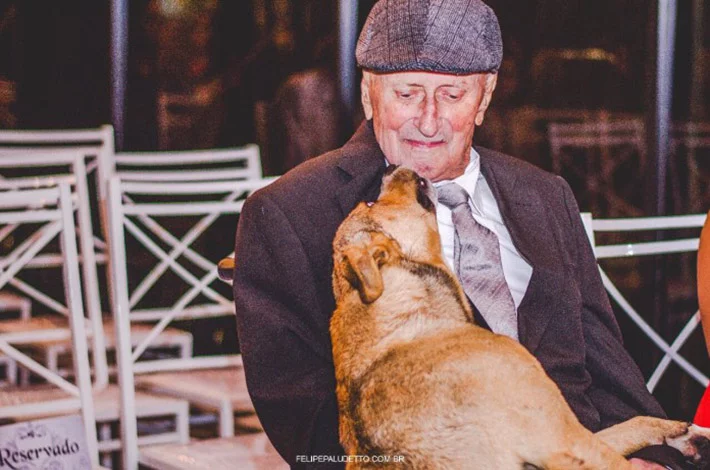 Perro en la boda Perro en la boda