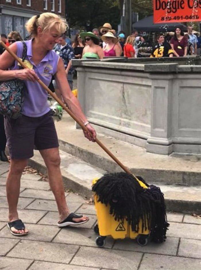 Este perro que parece un "trapeador" se roba el espectáculo en el desfile de Halloween 2 Perro se roba el show en Halloween