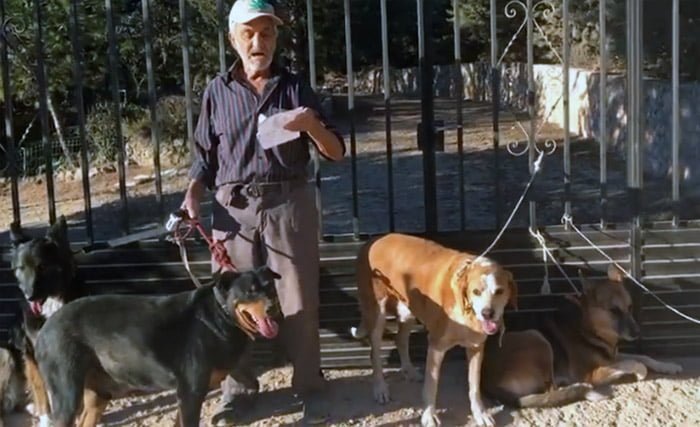 Perros de Santiago