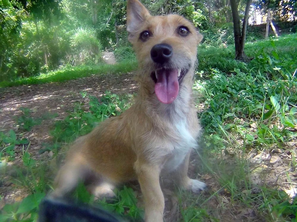 Romeo feliz