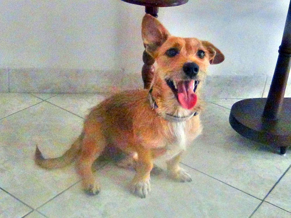 Romeo rescatado