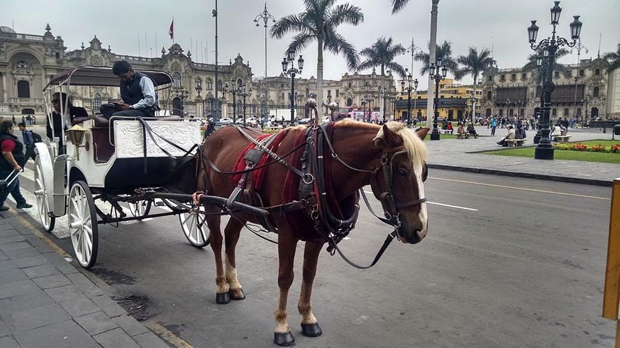 Barcelona prohíbe carruajes de caballos Barcelona prohíbe carruajes de caballos