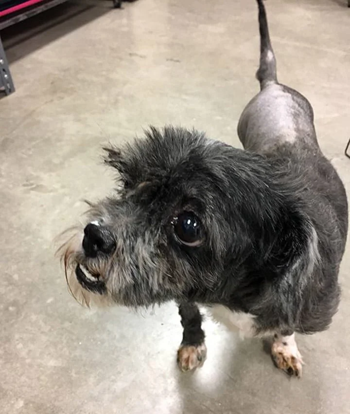 Chance se está recuperando