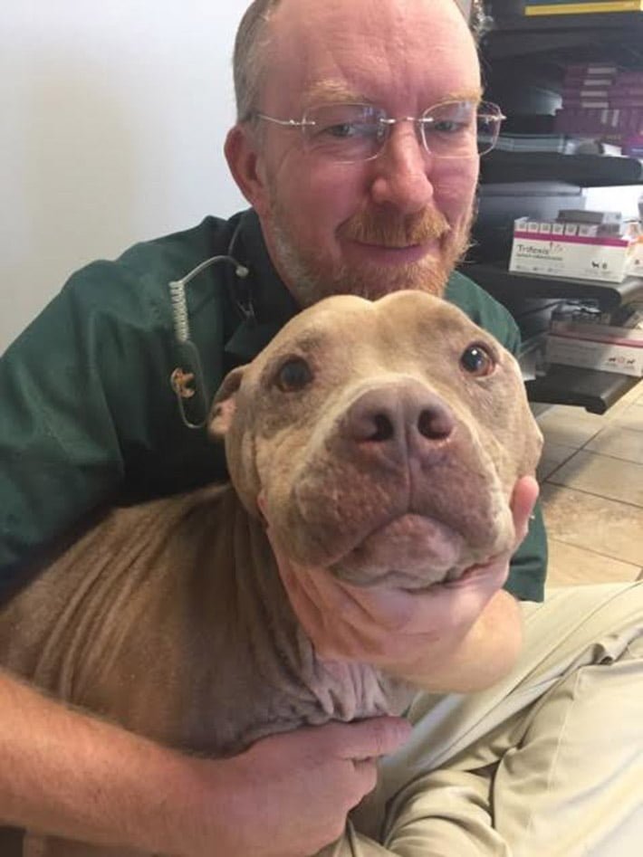 Deebo y el veterinario Deebo y el veterinario