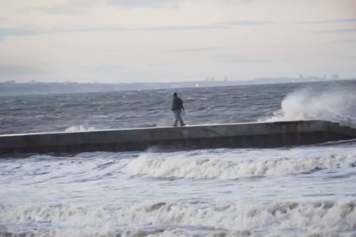 Hombre arroja a un perro al mar