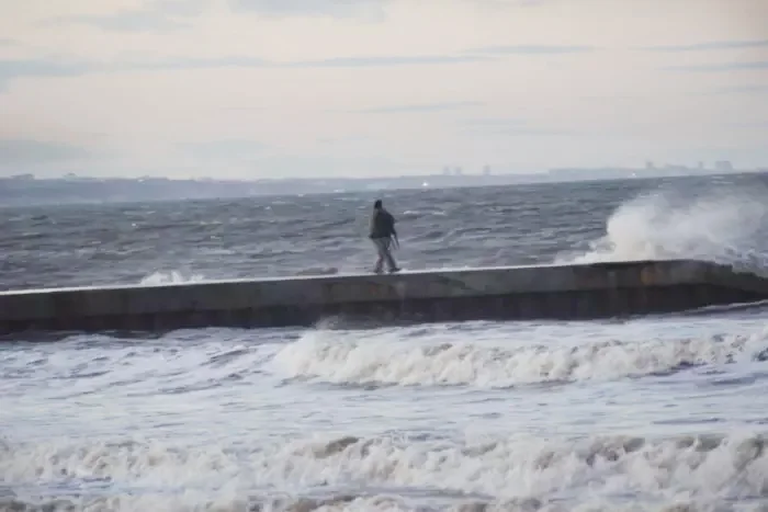 Hombre arroja a un perro al mar Hombre arroja a un perro al mar
