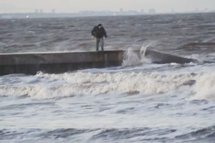 Hombre lanza a un galgo al mar