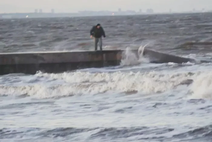 Hombre lanza a un galgo al mar Hombre lanza a un galgo al mar