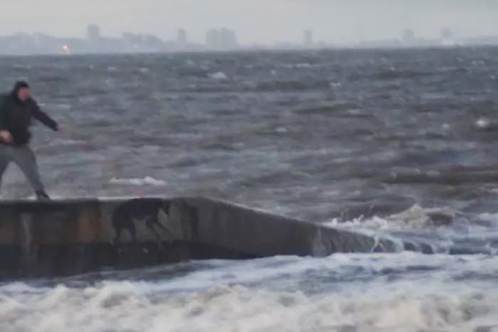 Hombre lanza perro al mar