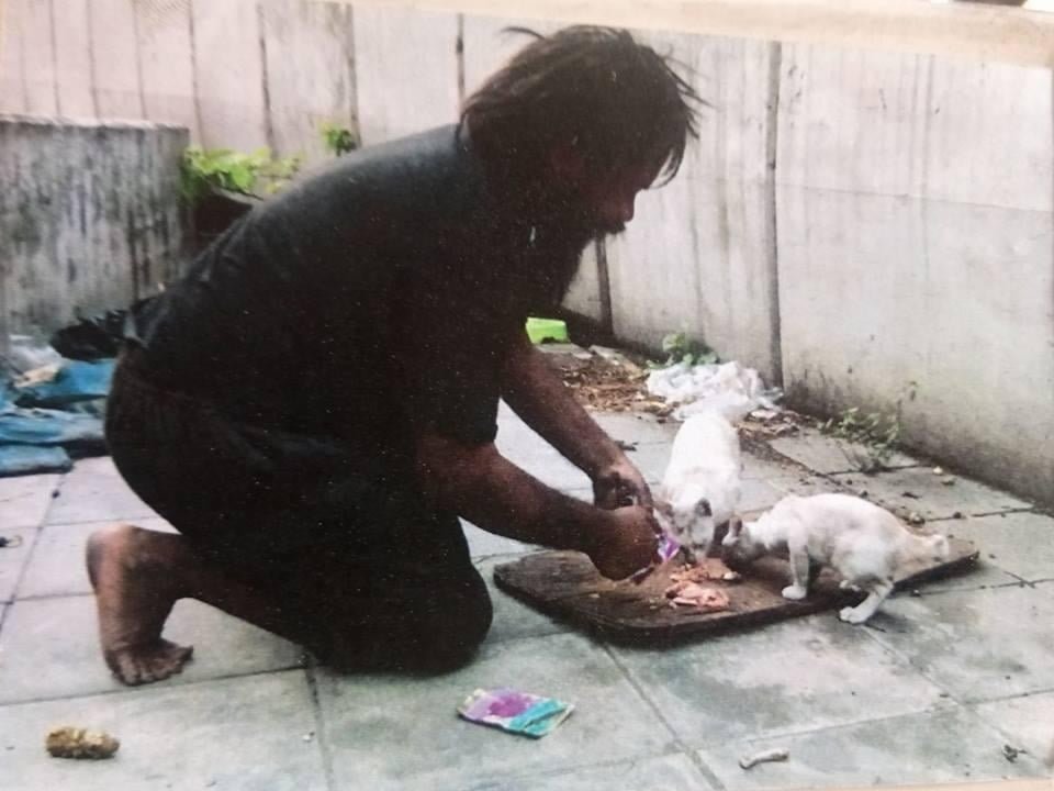 Loong alimenta gatos Loong alimenta gatos
