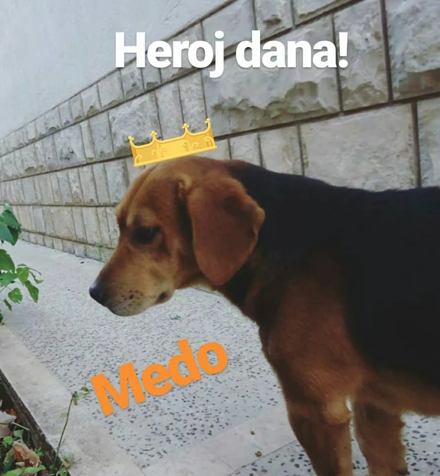 Medo héroe