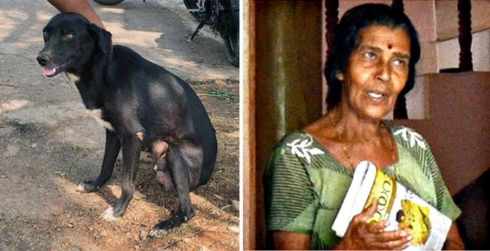 Mujer India asesina 8 cachorros delante de su madre