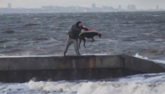 Perro arrojado al mar