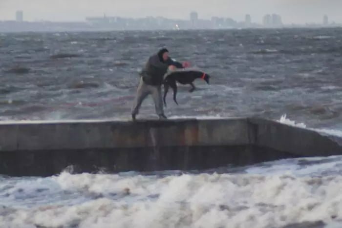 Perro fue arrojado al mar