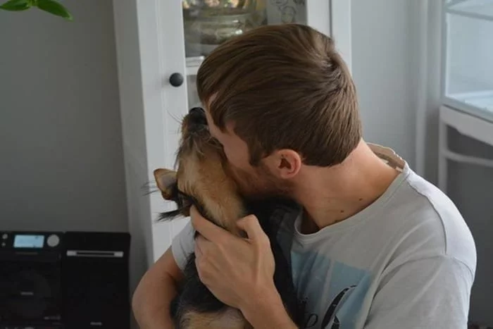 Perro rescatado