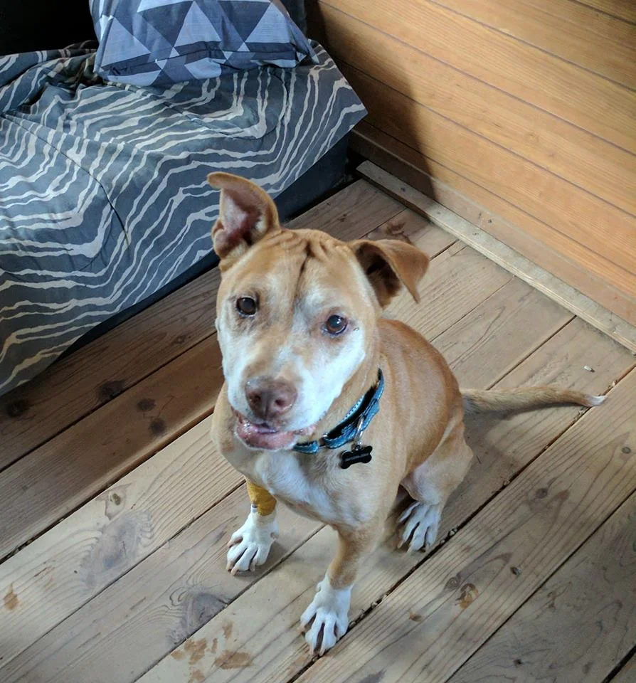 Stewie ahora Stewie ahora