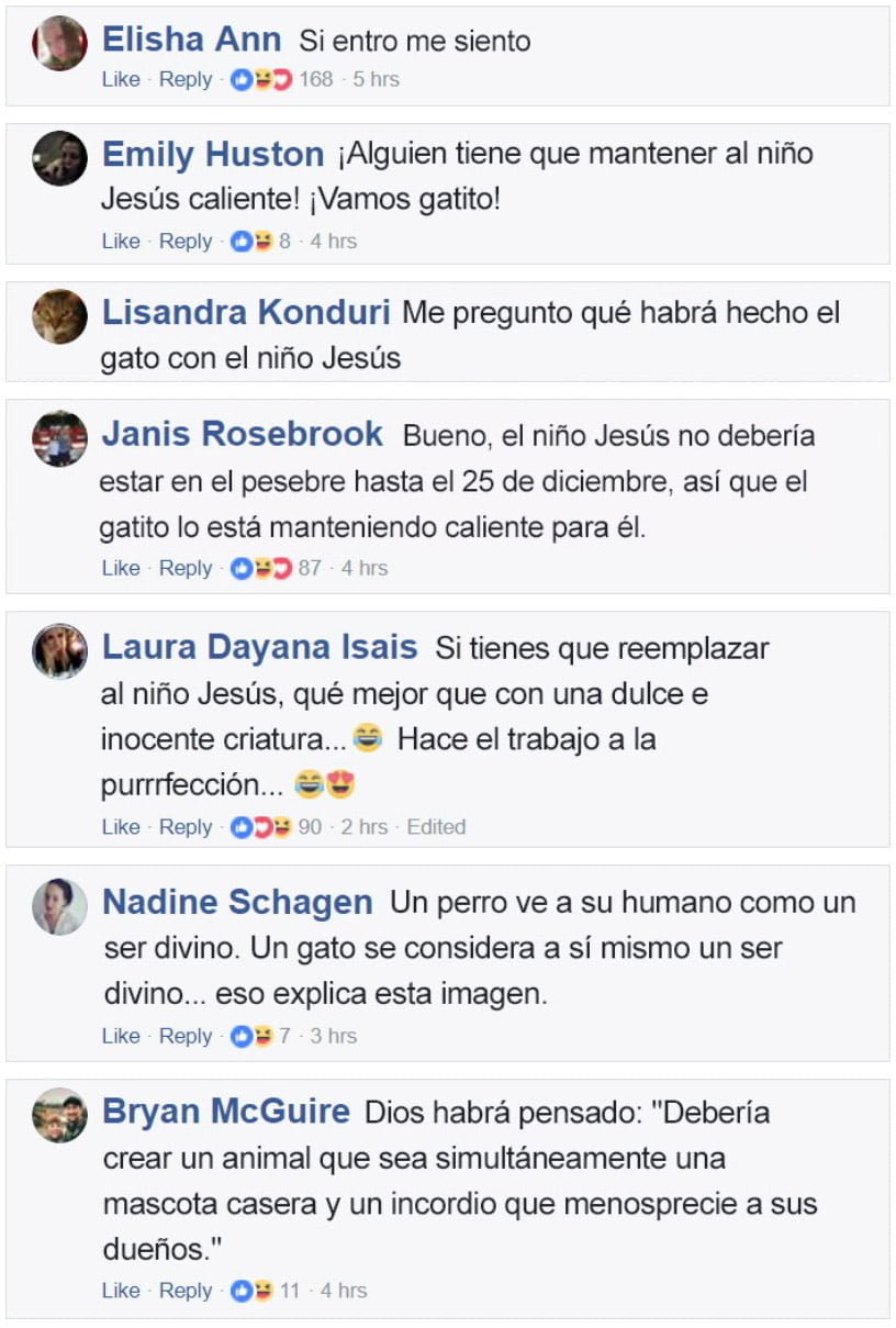 Comentarios