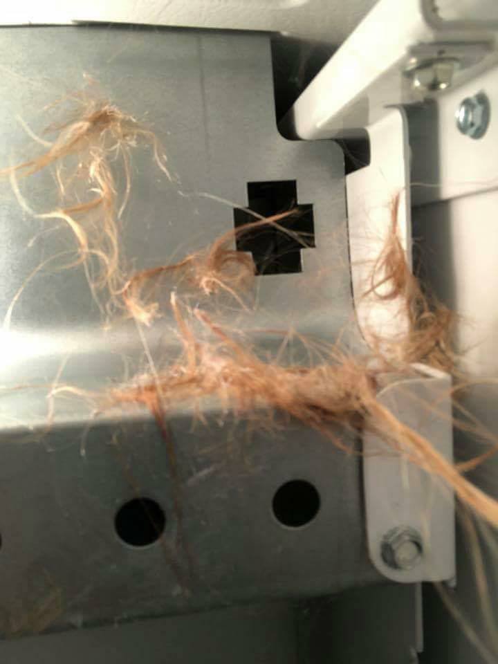 Mechones de pelo