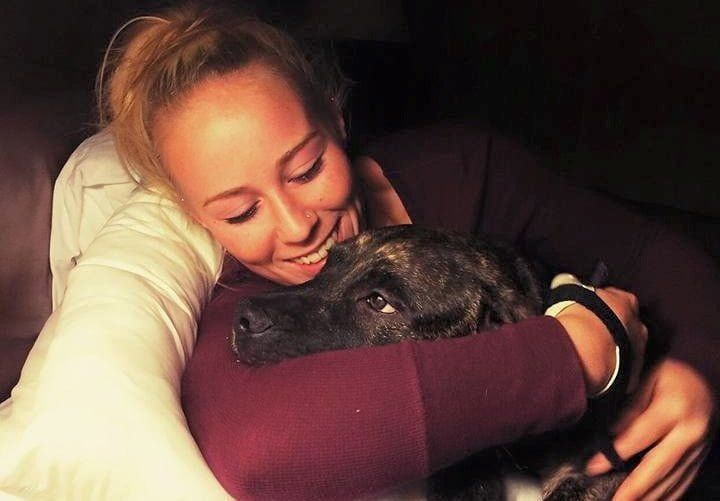 Mujer asesinada supuestamente por sus pitbulls