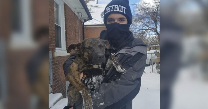 Perrita dejada atada en una tormenta de nieve